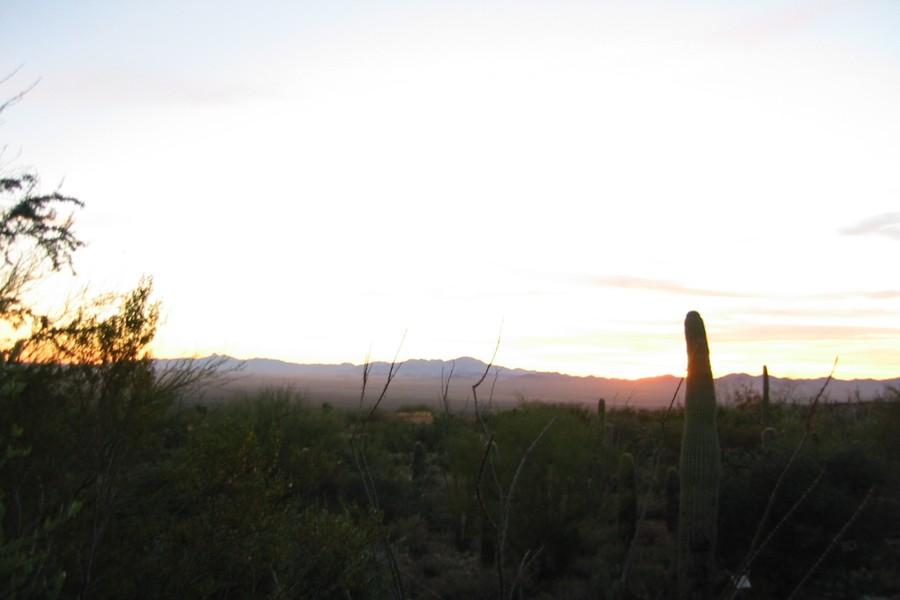 ../image/sunset at desert museum 3.jpg